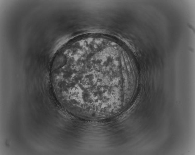 X0000091181263200709060947