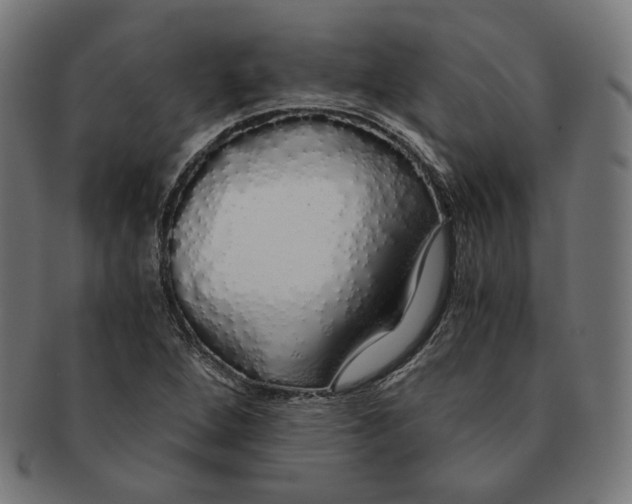 X0000091181264200709060947