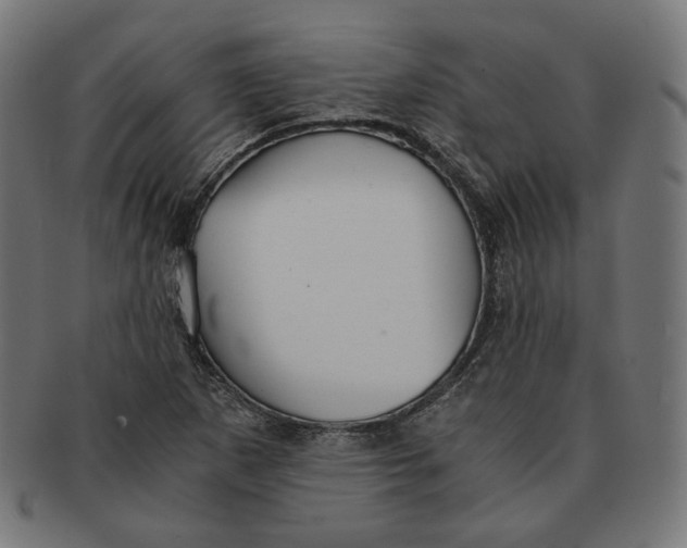 X0000091181265200709060947