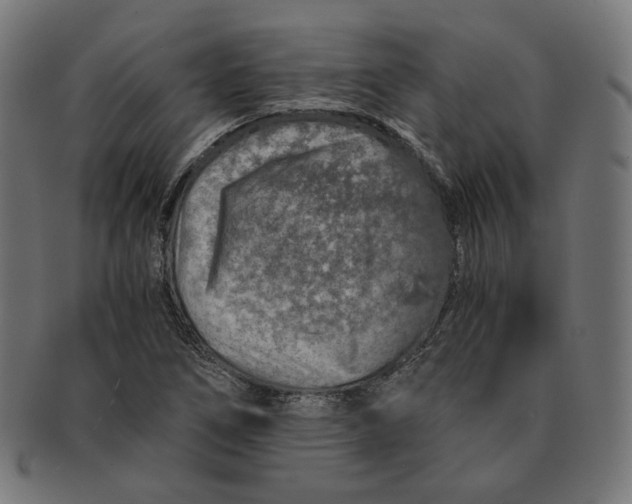 X0000091181266200709060947