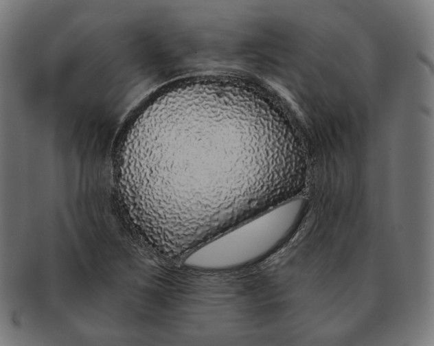 X0000091181267200709060947