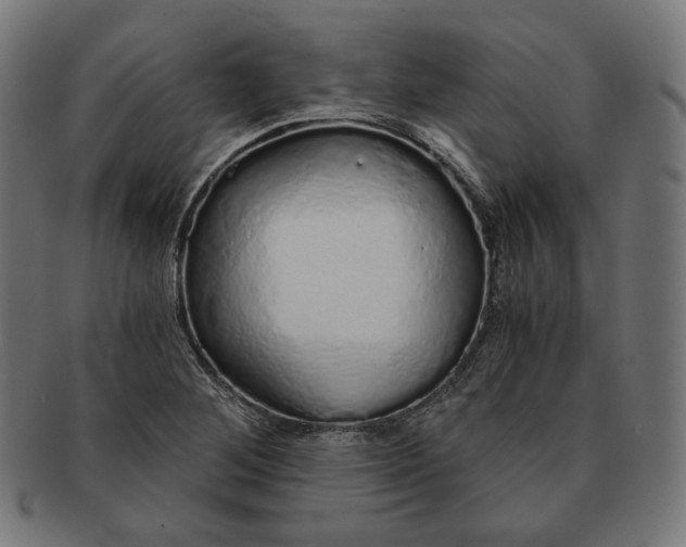 X0000091181268200709060947