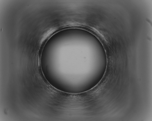 X0000091181269200709060947