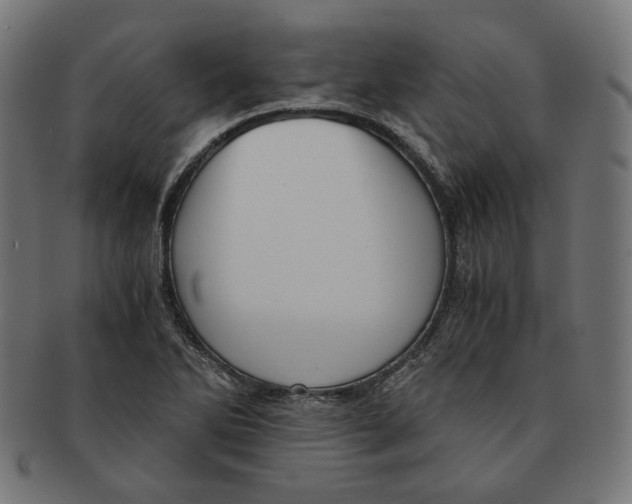 X0000091181270200709060947