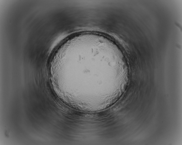 X0000091181271200709060947