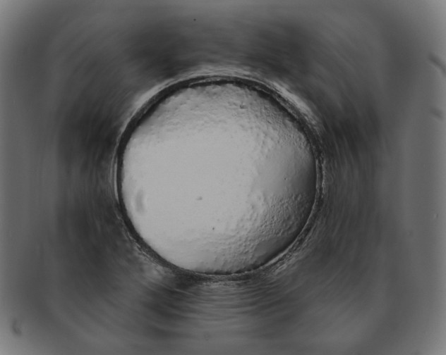 X0000091181272200709060947