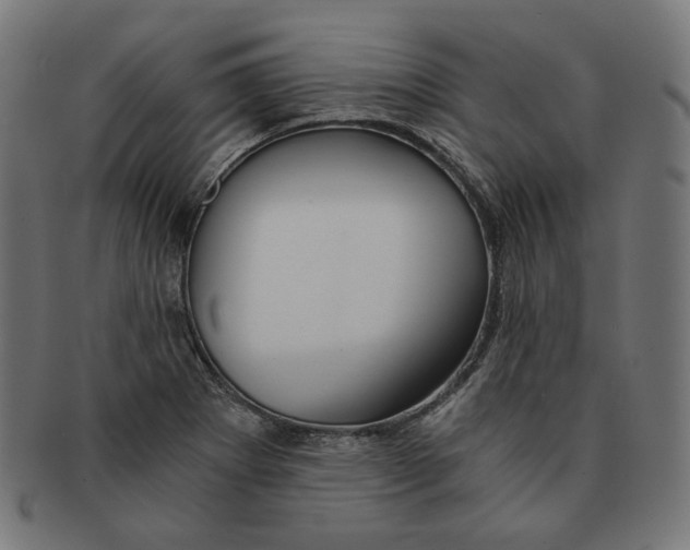 X0000091181273200709060947