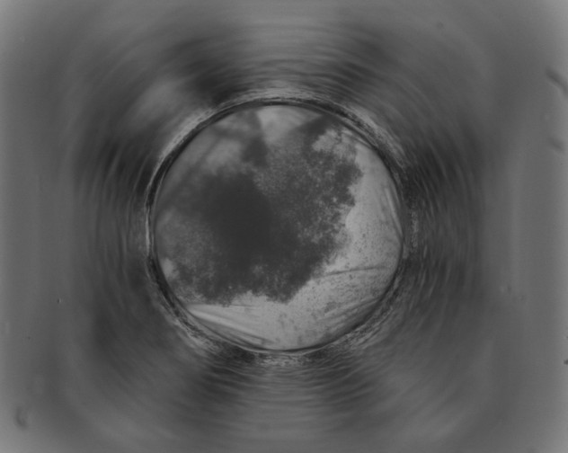 X0000091181274200709060947