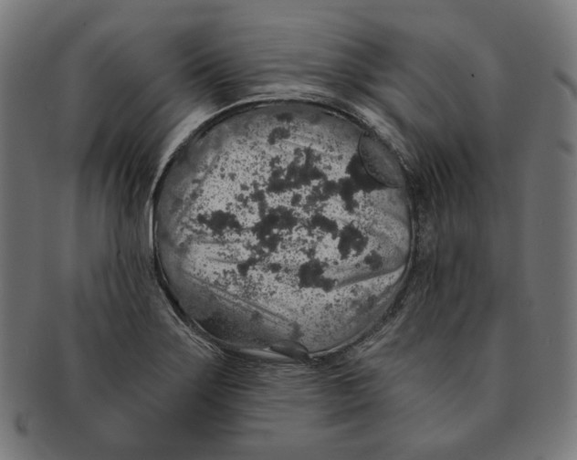 X0000091181275200709060947