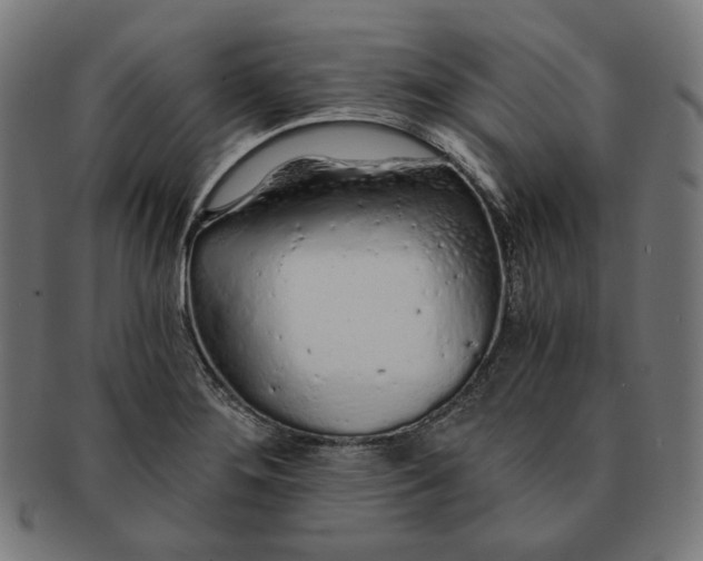 X0000091181276200709060947