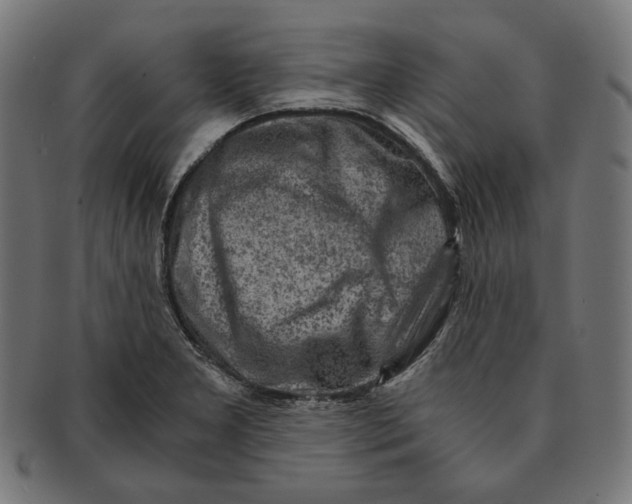 X0000091181277200709060947