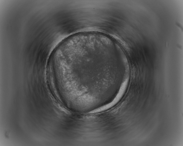 X0000091181278200709060947