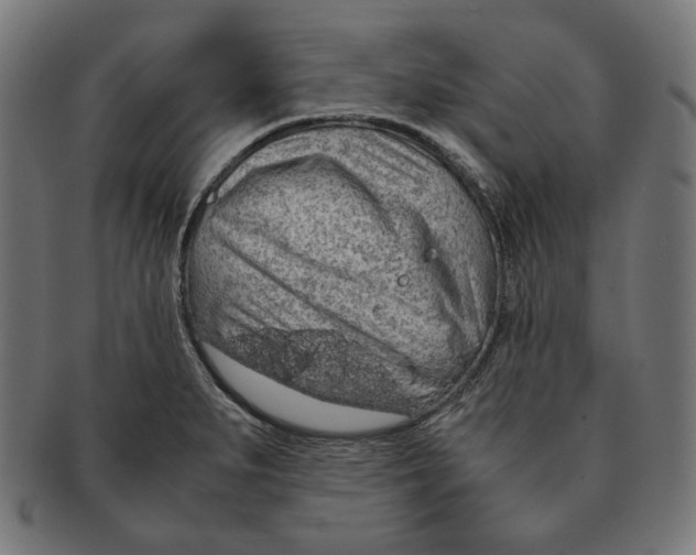 X0000091181279200709060947