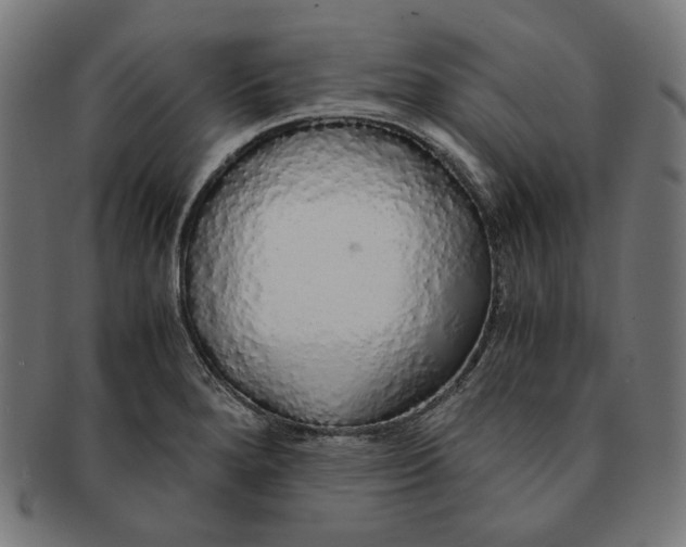 X0000091181280200709060947