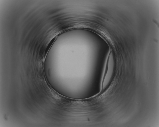 X0000091181281200709060947