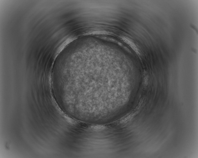 X0000091181282200709060947