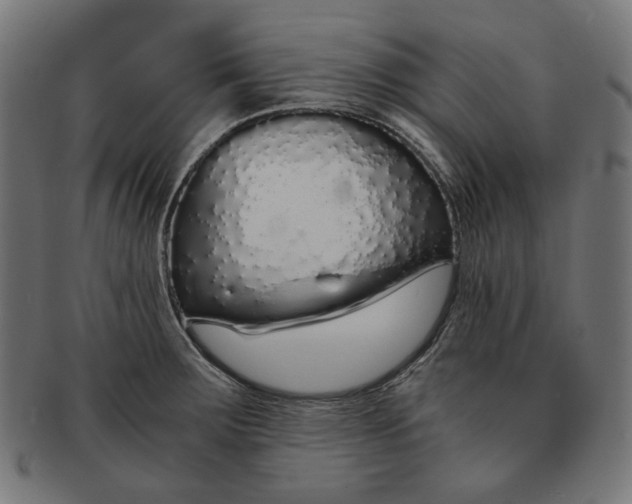 X0000091181283200709060947