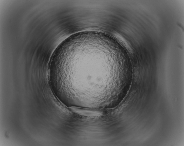 X0000091181284200709060947