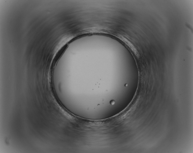 X0000091181285200709060947