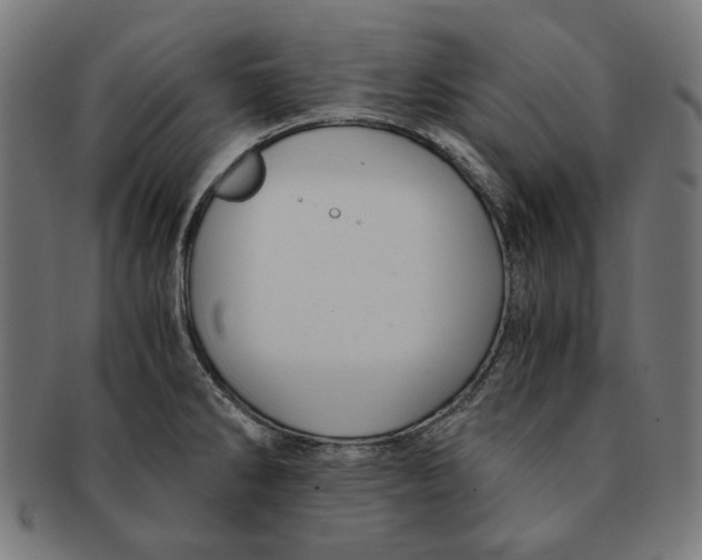 X0000091181286200709060947