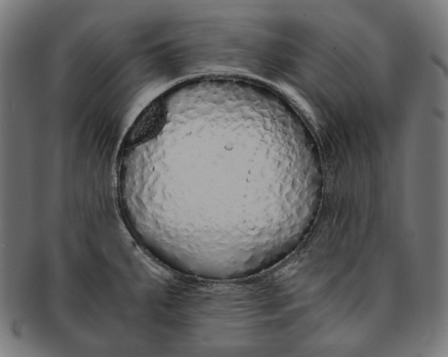 X0000091181287200709060947