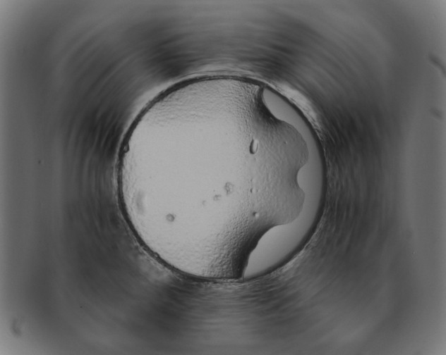 X0000091181288200709060947