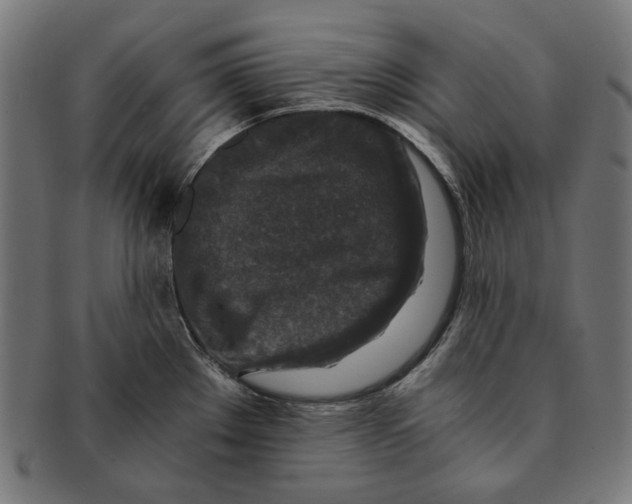 X0000091181289200709060947