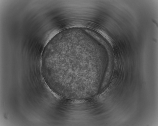 X0000091181290200709060947
