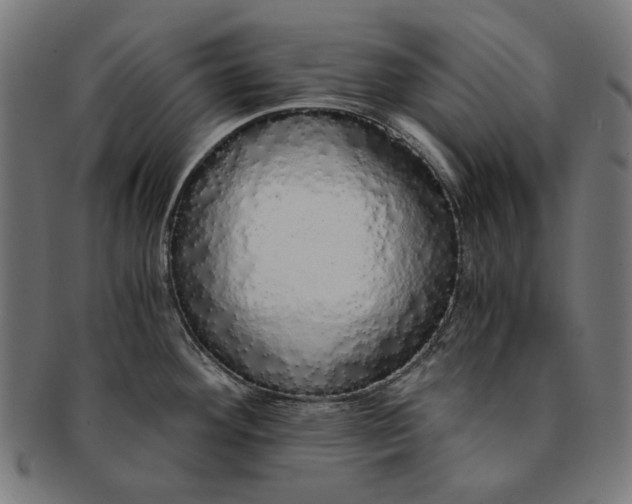 X0000091181292200709060947