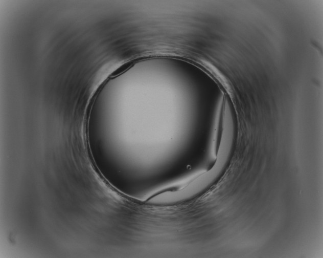 X0000091181293200709060947