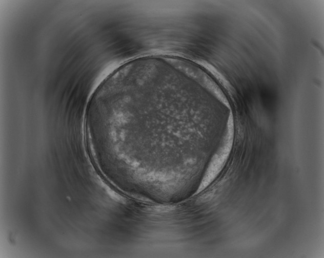 X0000091181294200709060947