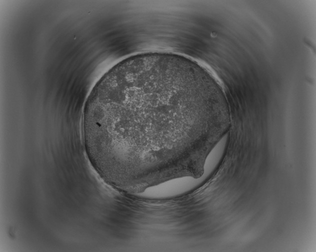 X0000091181295200709060947
