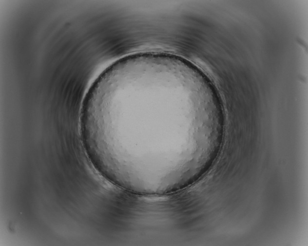 X0000091181296200709060947