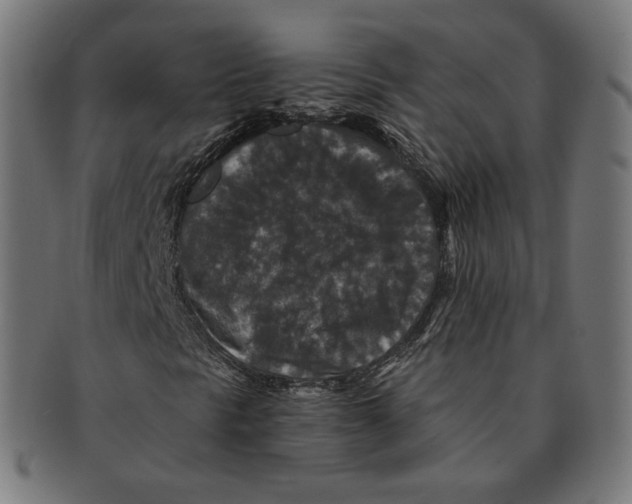 X0000091181297200709060946