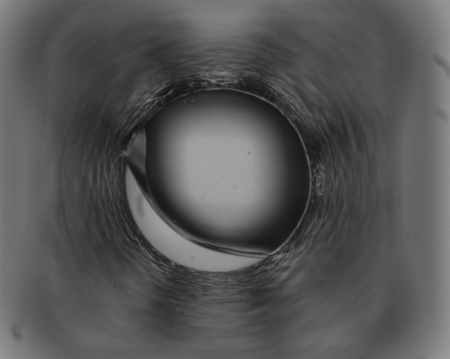 X0000091181298200709060946