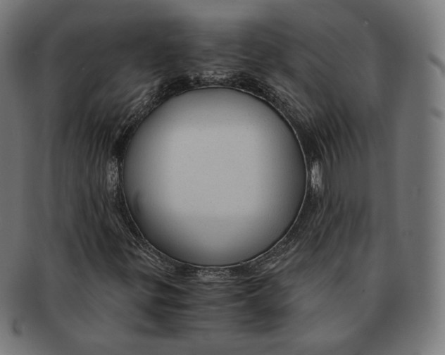 X0000091181299200709060946