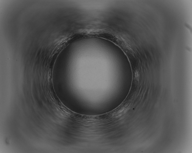 X0000091181300200709060946