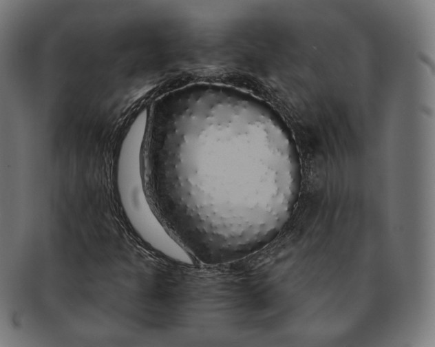 X0000091181301200709060946