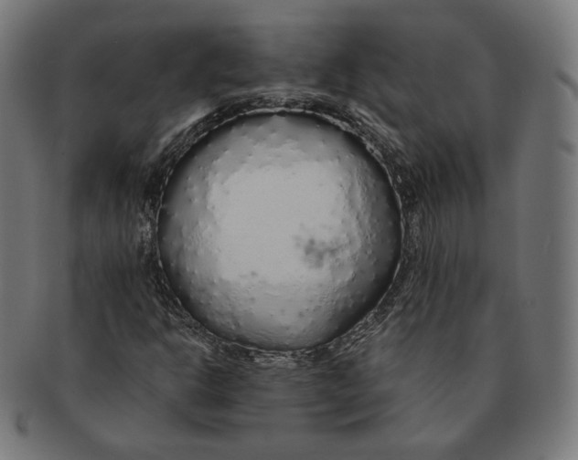 X0000091181302200709060946