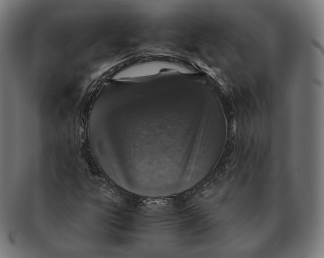 X0000091181303200709060946