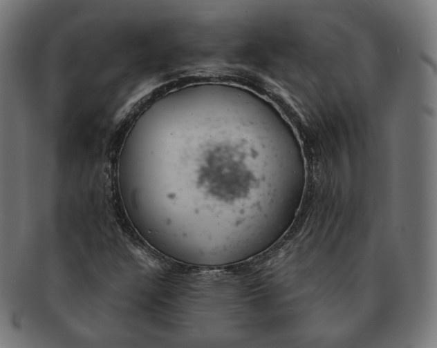 X0000091181304200709060946