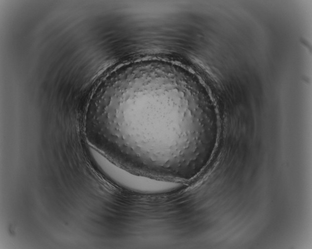 X0000091181305200709060946