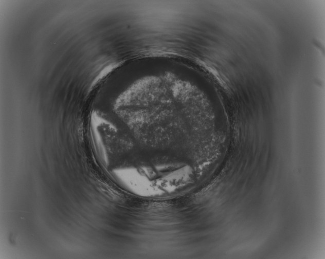 X0000091181306200709060946