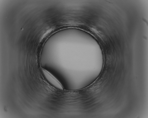 X0000091181307200709060946