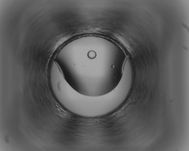 X0000091181308200709060946