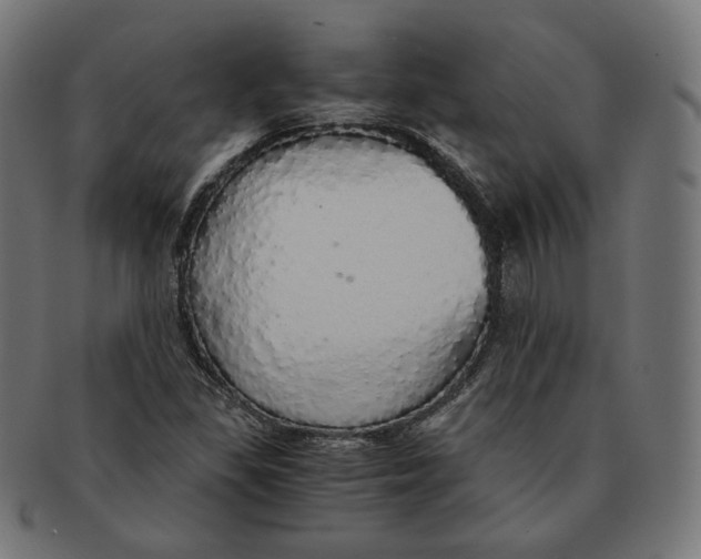 X0000091181309200709060946