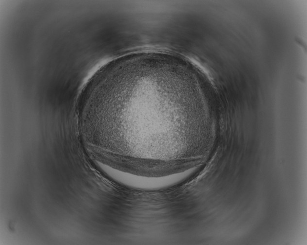 X0000091181310200709060946