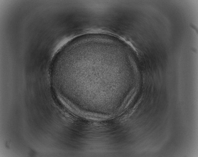X0000091181311200709060946