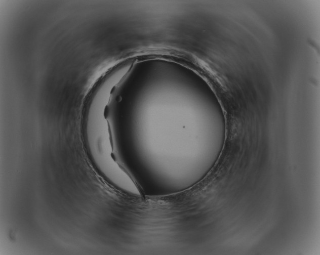 X0000091181312200709060946