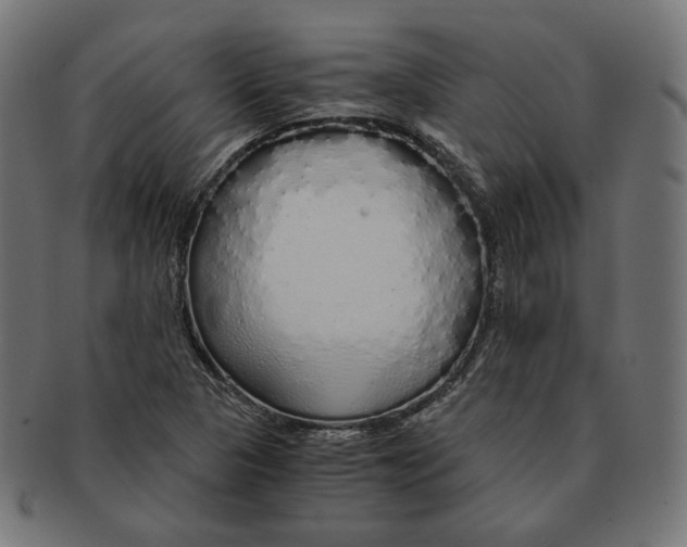 X0000091181313200709060946